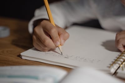 Evan-Moor Daily Language Review, Grade 5