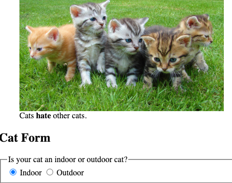 Responsive Web Development