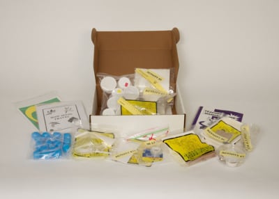 Home School Science Activities First Grade