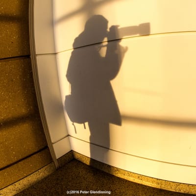 Photography Capstone