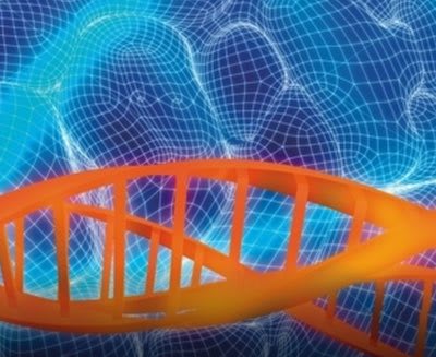 Healthcare Marketplace Capstone