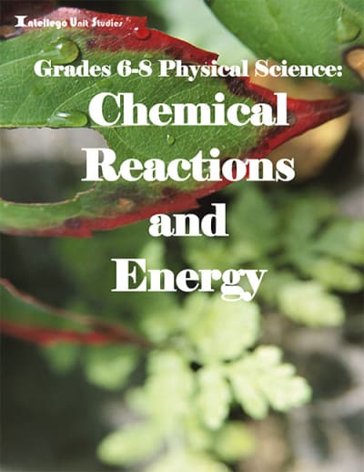 6-8 Physical Science: Chemical Reactions and Energy 