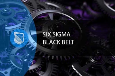 Six Sigma Black Belt Training 1 of 2