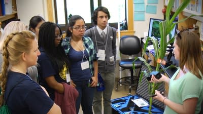 Birds-of-Paradise Project