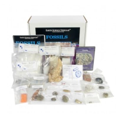 Fossils Kit with DVD 1 of 2