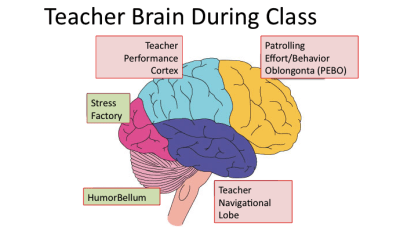 Surviving Your Rookie Year of Teaching: 3 Key Ideas & High Leverage Techniques