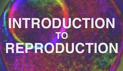 Introduction to Reproduction