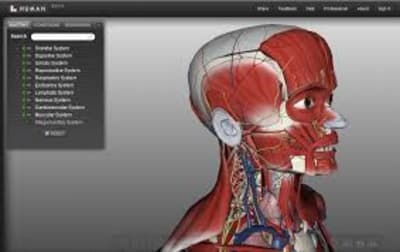 BioDigital Human: Anatomy and Health Conditions in Interactive 3D
