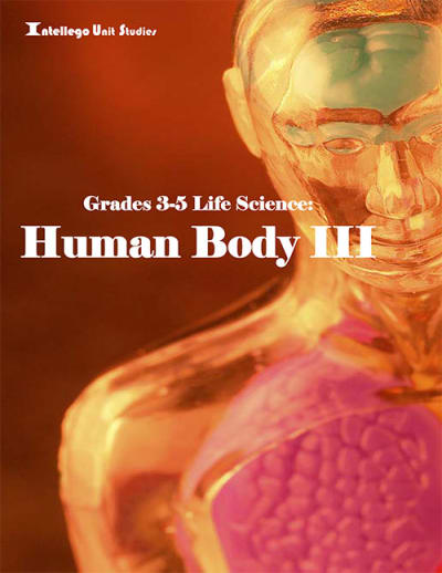 3-5 Life Science: Human Body III