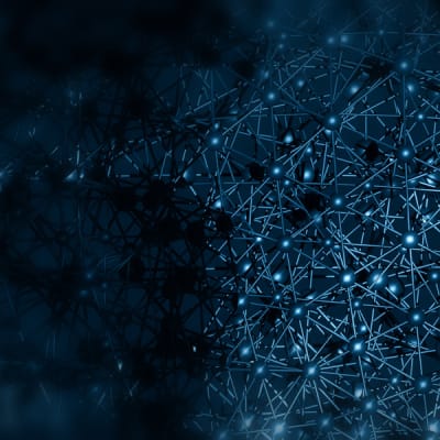 Collect and analyze data, and communicate results.