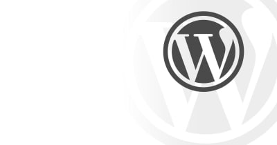Become a Junior WordPress Developer
