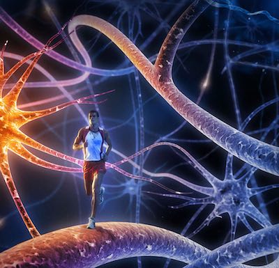 Advanced Neurobiology I