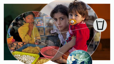 An Introduction to Global Health