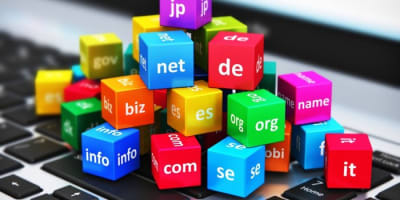 Domain Names and Trademarks - Internet Law