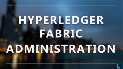 Hyperledger Fabric Administration (LFS272)