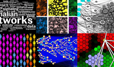 Network Analysis in Systems Biology