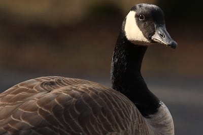 DGMD E-10: Exposing Digital Photography