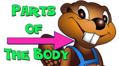 Level 3: Easy English - Learn English as a Foreign Language