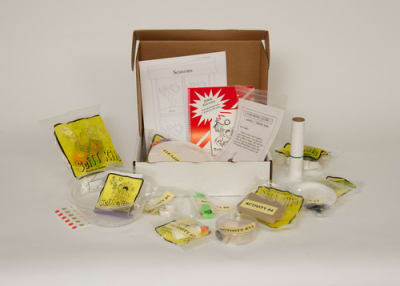 Home School Science Activities Kindergarten