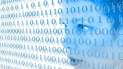 Programming and the Web for Beginners