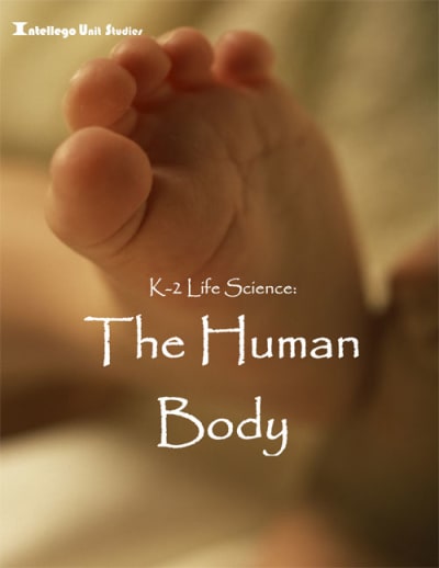 K-2 Life Science: The Human Body