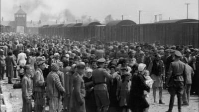 The Holocaust: The Destruction of European Jewry