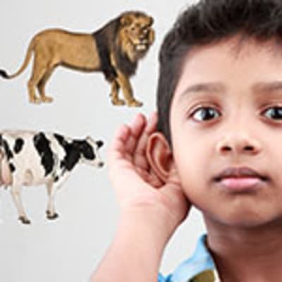 Phonemic Awareness Curriculum