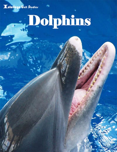 Elective Unit Studies: Dolphins