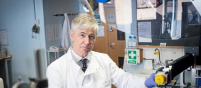 The Periodic Table of Videos