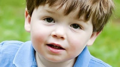 Bioelectricity: A Quantitative Approach