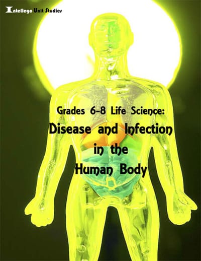 6-8 Life Science: Disease and Infection