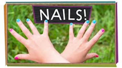 All About Us! (Humans)