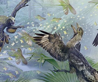 Paleontology: Theropod Dinosaurs and the Origin of Birds