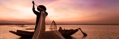 Streaming Plus Digital Media