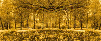 Wordsworth and the Romantics