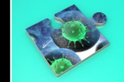 Causes of Human Disease Program 