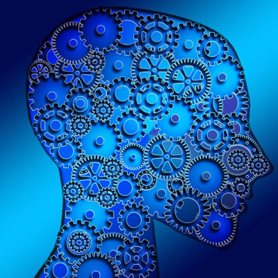 Machine Learning Capstone: An Intelligent Application with Deep Learning