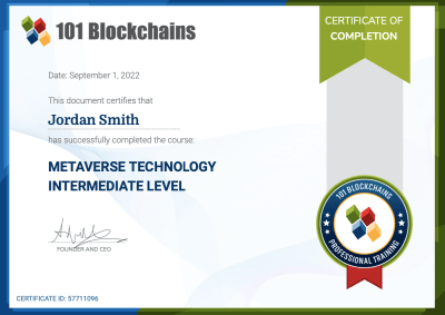 Metaverse Technology Course - Intermediate Level