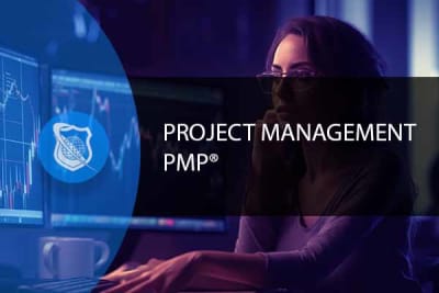 Project Management Professional – PMP Exam Prep
