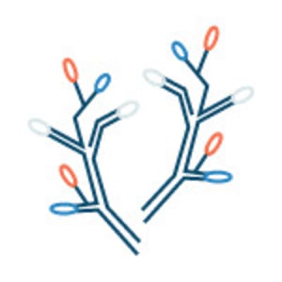 Mastery Math: Algebra 1