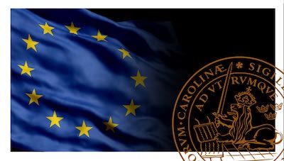 European Business Law: Understanding the Fundamentals