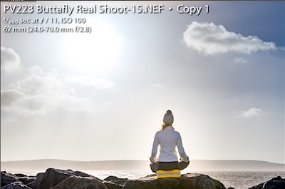 Free Photography Videos with Mike Browne