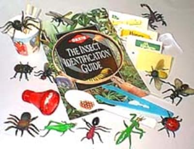 Discovering Insects Kit