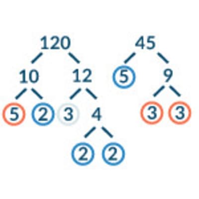 Pre-Algebra Practice Questions