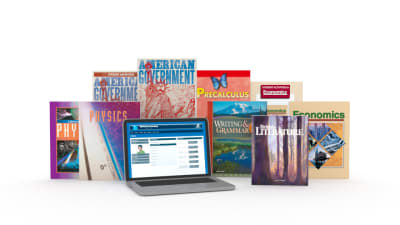 Grade 12 Online with Books