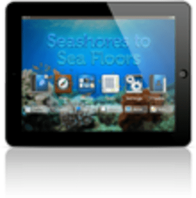 Seashores to Sea Floors Interactive Science Book