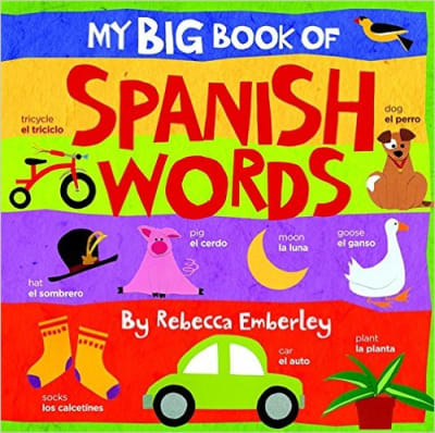 My Big Book of Spanish Words