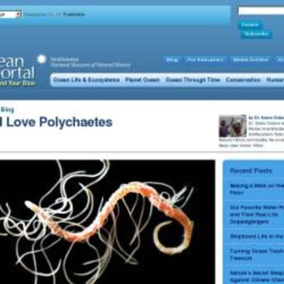 Ocean Biodiversity - Discovering Marine Invertebrates