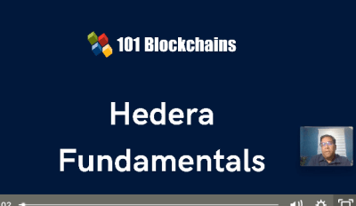 Hedera Fundamentals