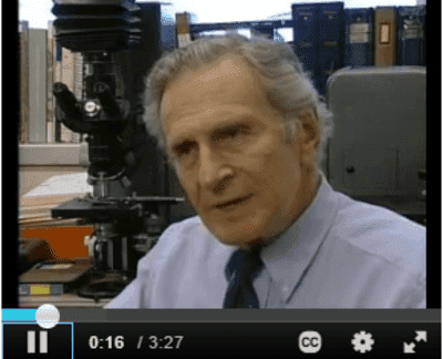 The Brain: Teaching Modules 